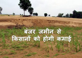 अब बंजर जमीन से भी किसानों को होगा लाभ