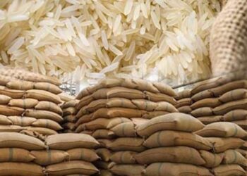 भारत ने लगाया गैर बासमती चावल के निर्यात पर रोक, दुनिया भर में मचा हाहाकार