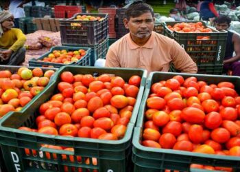 तमिलनाडु: आंध्र प्रदेश, कर्नाटक में बारिश के बीच चेन्नई में टमाटर की कीमत 170 रुपये प्रति किलोग्राम तक पहुंच गई