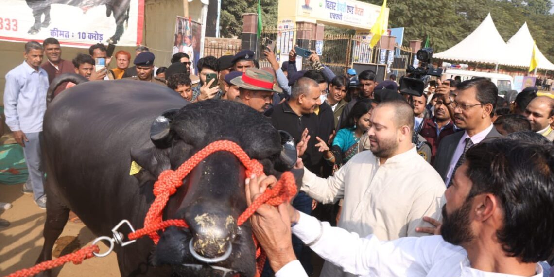 10 करोड़ के भोलू से मिले बिहार के उपमुख्यमंत्री तेजस्वी यादव