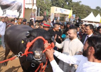 10 करोड़ के भोलू से मिले बिहार के उपमुख्यमंत्री तेजस्वी यादव