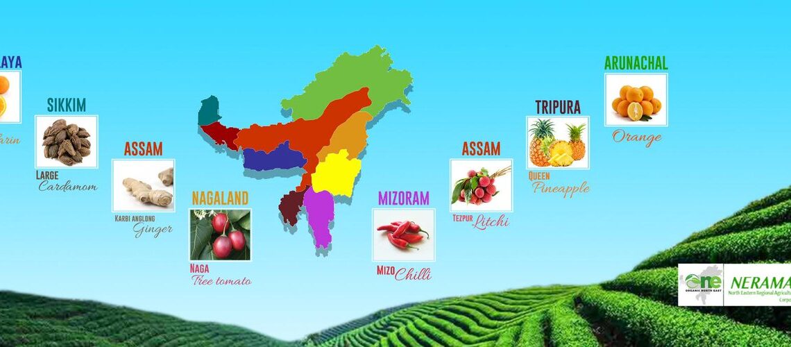 NERAMAC ने अम्‍ब्रेला ब्रांड के तहत 140 मीट्रिक टन उपज खरीदी