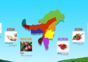 NERAMAC ने अम्‍ब्रेला ब्रांड के तहत 140 मीट्रिक टन उपज खरीदी