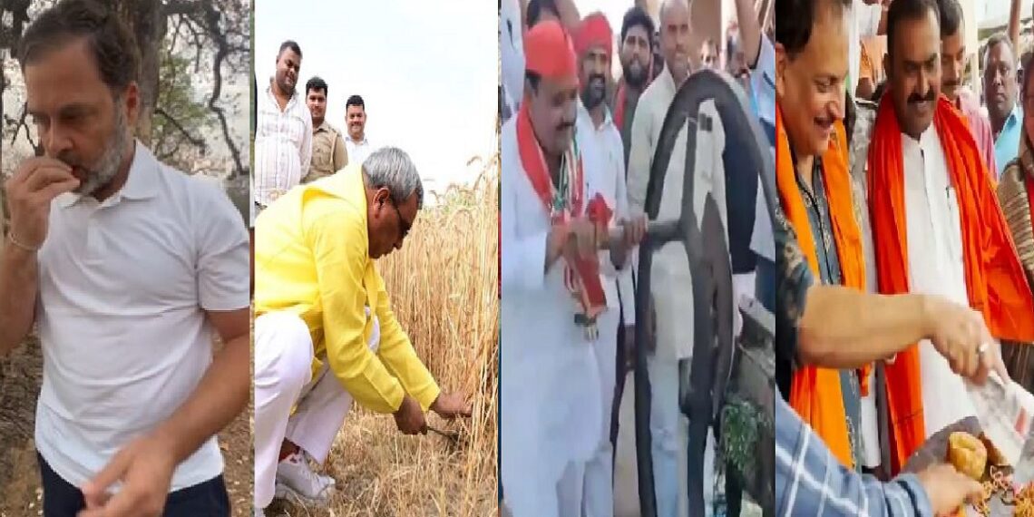 Rahul Gandhi picked Mahua in madhya pradesh