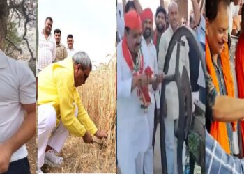 Rahul Gandhi picked Mahua in madhya pradesh