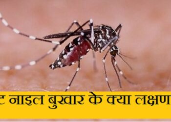 West Nile Virus