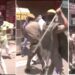 पटना में भारत बंद के समर्थन में प्रदर्शन कर रहे लोगों पर लाठीचार्ज