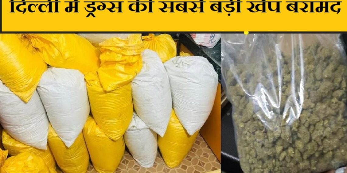 worth ₹5,000 crore Cocaine seized in Delhi's biggest drug bust