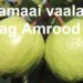 Amrood Ka Baag hai kamaai ka raag
