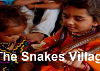 The village witnesses humans living with snakes