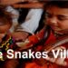 The village witnesses humans living with snakes
