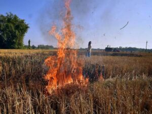 पराली जलाने पर सख्त हुआ सुप्रीम कोर्ट, किसानों को जेल भेजिए... - Panchayati Times