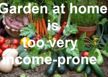 Be your own boss at home