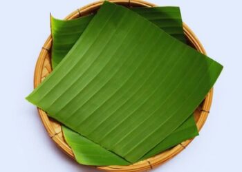 Banana leaves are high at utility scale – Use them to the fullest for earning as well !!