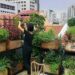 Top farming on the rooftop
