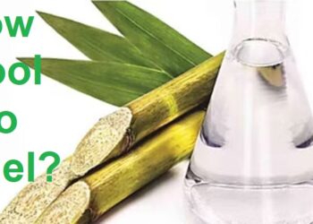 Future fule is bio fule