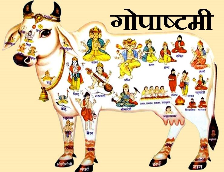 Gopashtami 2024: Why is Gopashtami festival celebrated, what is its mythological significance?