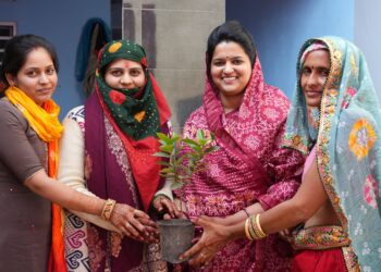 हॉकी वाली सरपंच नीरू यादव ने "कन्या दान में पौधा" मुहीम की शुरुआत की - Panchayati Times