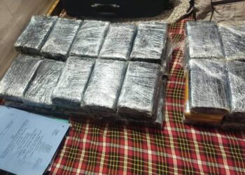 एनसीबी ने दिल्ली में 82.53 किलोग्राम हाई-ग्रेड कोकीन जब्त की - Panchayati Times