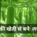 लौकी की खेती करके कमाइए बारह लाख साल के
