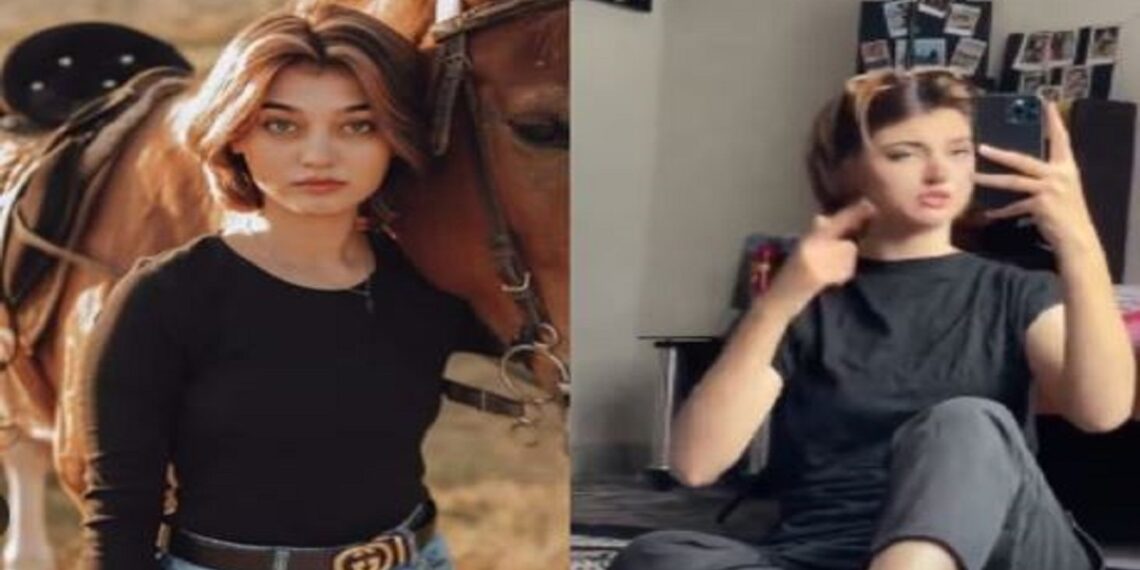 कौन है पाकिस्तानी टिकटॉक स्टार इम्शा रहमान, भारत में क्यों की जा रही है सर्च?