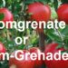 Pom the grenade against poor farming
