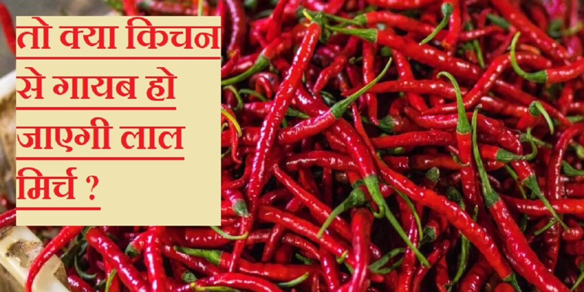 Red Chilli: इस साल तेवर नहीं दिखा पाएगी लाल मिर्च, देश में क्यों लड़खड़ाई खेती?