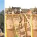 101 farmers starts a foot march from Shambhu border,