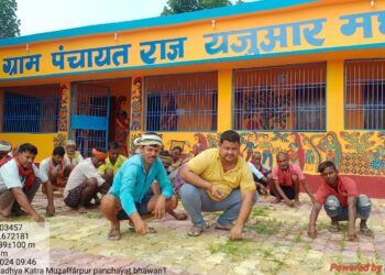 73वां संविधान संशोधन: पंचायत को 29 विषयों पर मिला काम करने का अधिकार - Panchayati Times