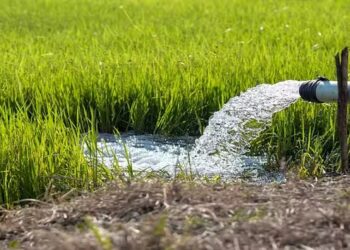 ये खुशखबरी है एमपी के किसानो के लिए !