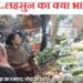 Rahul Gandhi suddenly arrived in Delhi's Kalkaji Mandi, talked to vegetable vendors.