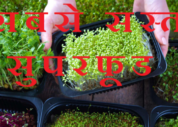 स्वस्थ रहो मस्त रहो !