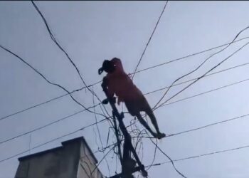 शराब के लिए पैसा नहीं मिला तो शख्स बिजली की तारों पर सो गया - Panchayati Times