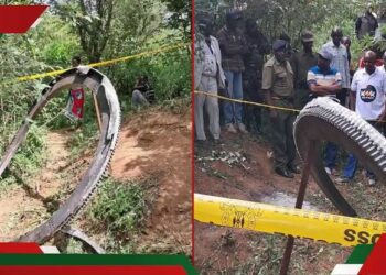 केन्या में गिरा विशाल धातु का छल्ला, रहस्य बरकरार - Panchayati Times