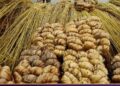 कच्चे जूट के न्यूनतम समर्थन मूल्य (MSP) को मंजूरी मिली - Panchayati Times