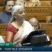 Budget 2025 Live, Image Credit: lok sabha TV