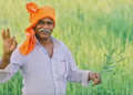 PM Fasal Bima Yojana Bihar: 7 साल बाद फिर लागू होगी फसल बीमा योजना, जानें कब से शुरू होंगे आवेदन - Panchayati Times