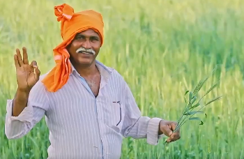 जानें कैसे मिलेगा प्रधानमंत्री फसल बीमा योजना का लाभ? - Panchayati Times