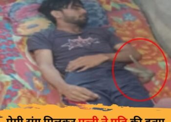 Meerut Viral Snake Case: