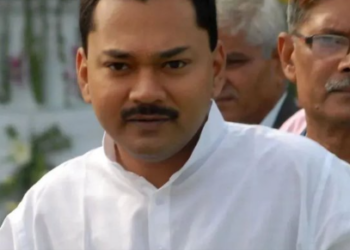 CM चेहरे को लेकर नितीश के बेटे निशांत कुमार ने दिया बड़ा बयान - Panchayati Times