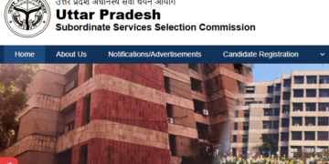 UPSSSC गन्ना पर्यवेक्षक भर्ती 2026: आवेदन शुरू, जानें योग्यता, आयु सीमा, वेतन और चयन प्रक्रिया - Panchayati Times