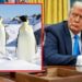 Tariff on Penguins: donald Trump imposed 10 percent tariff on Antarctica too