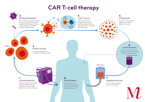 Blood cancer treatment in 9 days! Indian doctors achieve great success, what is 'Well-CAR-T'? - पंचायती टाइम्स Blood cancer treatment in 9 days! Indian doctors achieve great success, what is 'Well-CAR-T'?