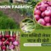 Bihar government launched area expansion scheme for Sharadiya (Kharif) onion