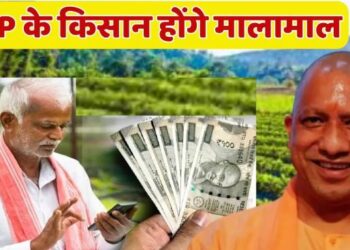 यूपी के किसान होंगे मालामाल!