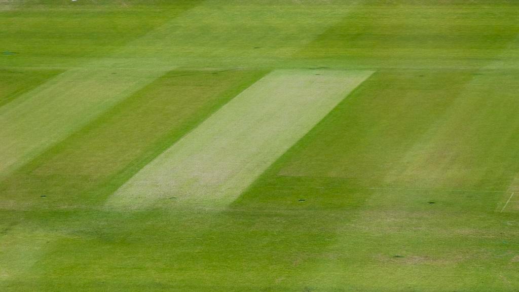 Unknown facts about Cricket pitch
