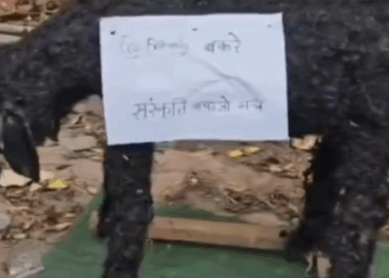 मध्य प्रदेश: बकरीद में कुर्बानी पर पंचायत ने लगाई रोक -Panchayati Times