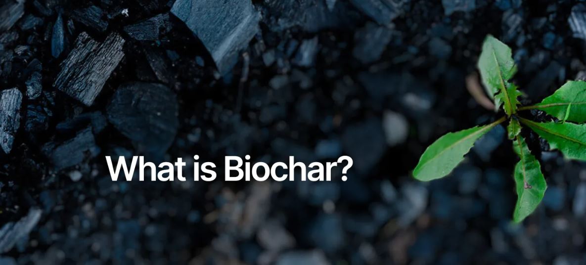 What is biochar