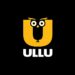 केंद्र सरकार ने उल्लू, ALTT सहित कई ऐप्स पर लगाया प्रतिबंध  - Panchayati Times