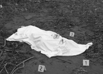 6 Killed, 19 Injured in Two Separate Crashes on Yamuna Expressway